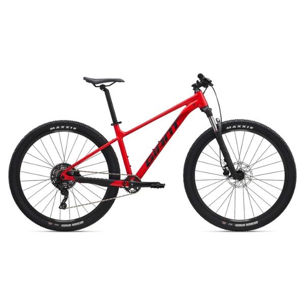 אופני הרים 29 -ג'יאנט טאלון Giant Talon 2