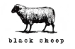 בלק שיפ - BLACKSHEEP