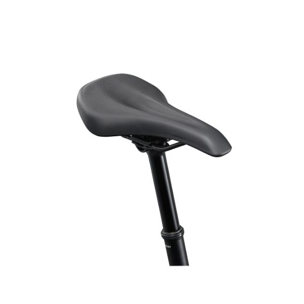 אופני הרים 29 ג'יאנט טאלון Giant Talon 1 - 2026