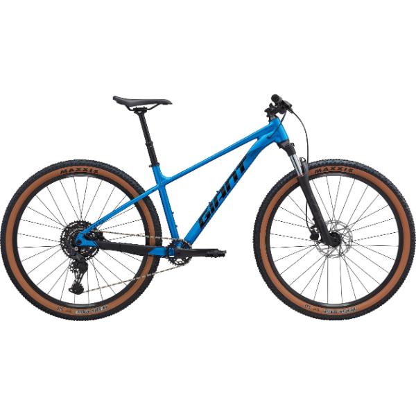 אופני הרים 29 ג'יאנט טאלון Giant Talon 1 - 2026